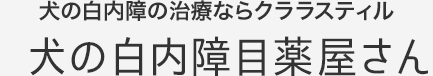 犬の白内障目薬屋さん|犬の白内障の治療ならクララスティル【安心の返金保証制度あり】【業界最安値】【全国送料無料】