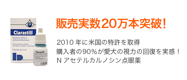業界最安値に挑戦 犬の白内障の治療ならクララスティル Nアセテルカルシノン点眼薬 の輸入代行店 犬の白内障目薬屋さん 業界最安値に挑戦 犬の白内障の治療ならクララスティル Nアセテルカルシノン点眼薬 の輸入代行店 犬の白内障目薬屋さん