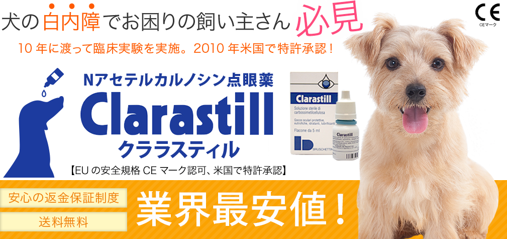 業界最安値。犬の白内障でお困りの飼い主さん必見。Nアセテルカルノシン点眼薬、クララスティル。