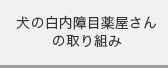 犬の白内障目薬屋さんの取り組み