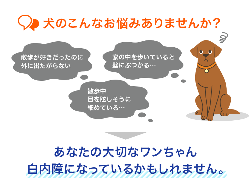 犬のこんなお悩みありませんか？