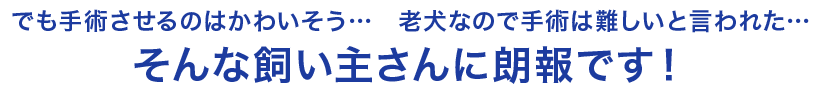 そんな飼い主さんに朗報です！