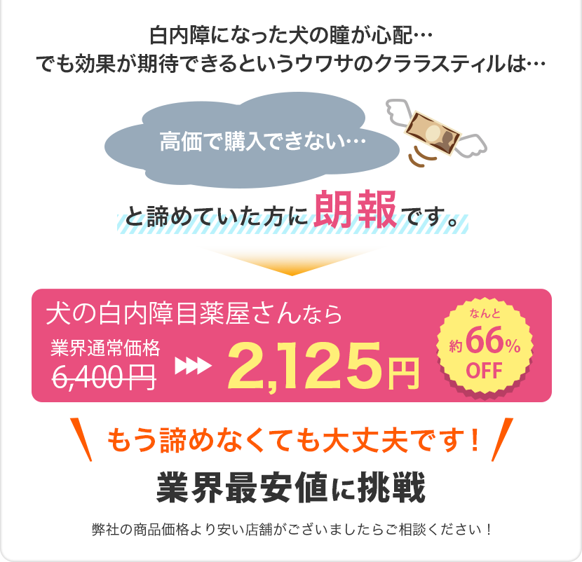 犬の白内障目薬屋さんなら2125円